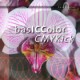 basICColor CMYKick