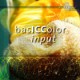 basICColor input